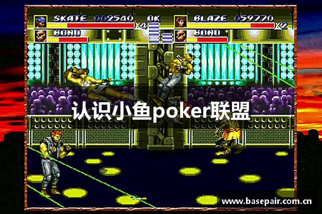 认识小鱼poker联盟